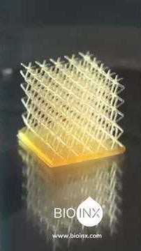 3D Printing Inks with Shape Memory