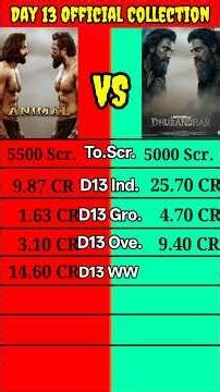 Animal vs Dhurandhar Day 13 Official Produce Figure Worldwide Collection Comparison #shorts।।