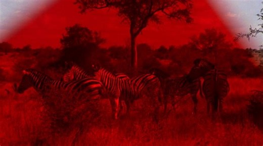 FESTIVAL REVIEW: Berwick Film And Media Arts Festival | The Quietus