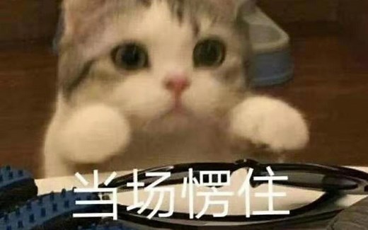 GTFO MOD/MOD地图/旧版本安装指北