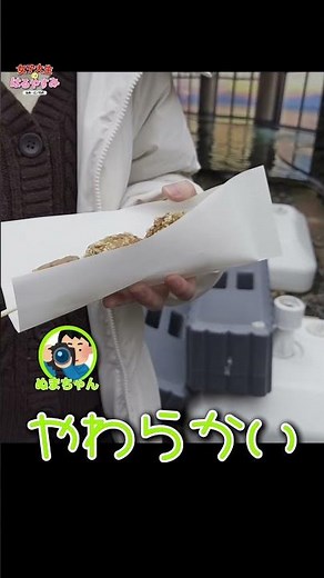 女子大生のサード食レポ #shorts #vlog