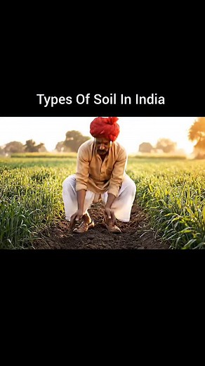 Geography ✨🚢 on Instagram: "Types Of Soil #soil #typeofsoil"