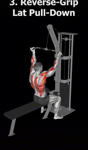 Back exercises for wider lats #back #backday #lats #fitness #gym #workout #workouts #backworkout