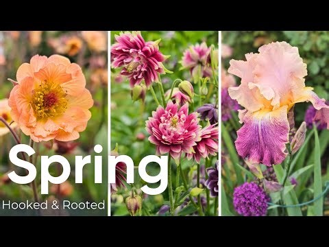 Before You Plan Your Spring Garden, Watch This