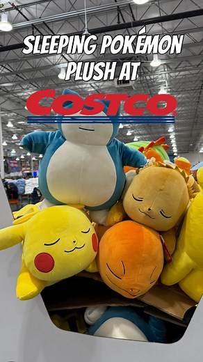 Sleeping Pokémon plush at Costco!✨ www.twitch.tv/rachshines • • • • • • Hashtags: #pokemon #pokemonplush #pokemontrainer #pokemoncollector #pokemonmaster #costco #kanto #pikachu #eevee | Rachshines