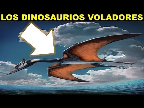 7 DINOSAURIOS VOLADORES MÁS PELIGROSOS QUE EXISTIERON: PTEROSAURIOS Y SU MUNDO