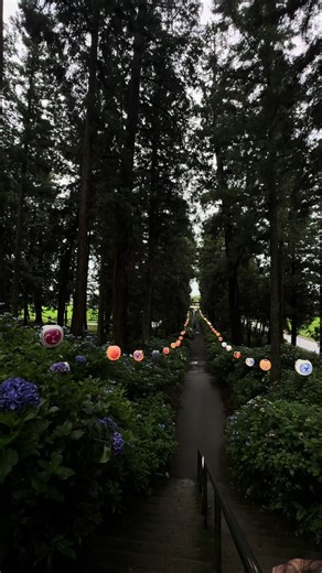 栃木県の美しい景色と淡い提灯