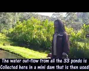 2.4K views · 73 reactions | In-land Trout Farming in Kegesuglo,...