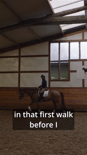 RS Riding on Instagram: "Before I even think about trotting, I use the walk to check one thing: Does my horse really respond to my leg? I ask a little sideways, some leg-yielding, a moment of turning, and then forward again. Not to shape the frame, but to feel if the hind legs are active and listening. When the horse reacts clearly to the leg in walk, the transition to trot becomes easy and honest. Preparation is not about doing more, it’s about checking the basics. Because how you start, sets t