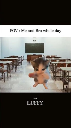 Scubaa #shorts #relatable #funny #cat #comedy #trending #laugh #scuba #viral #memes #fyp