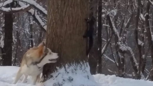 We wish we were this motivated on the treadmill. | America's Funniest Home Videos
