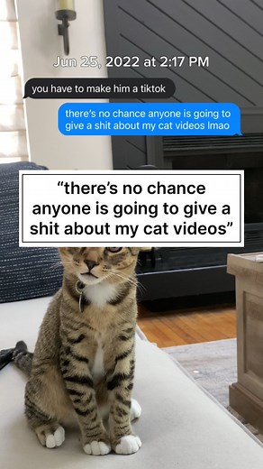 this was an actual text i sent exactly 2 years ago today. the following day, i posted loki’s first tiktok. a few months later we joined instagram…don’t let the idea that something is “unrealistic” stop you from trying. to every person who follows loki: you have no idea how much it means that so many people laugh as much as i do while watching loki’s antics. thank you so much for all of your support: we wouldn’t be where we are today without every single one of you 🫶 #catsofinstagram #funnycatso