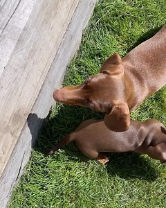 Lucy Robson on Reels