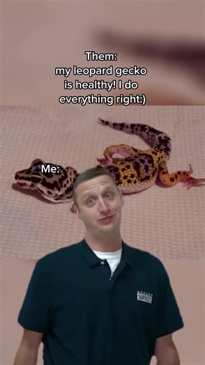 Recognizing and Treating Metabolic Bone Disease in Leopard Geckos