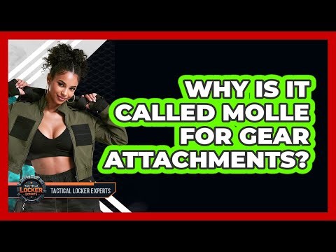 Why Is It Called MOLLE For Gear Attachments? - Tactical Locker Experts