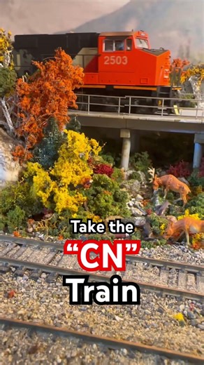Take the “CN” Train