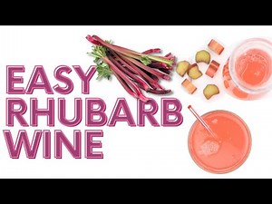 Make Homemade Wine from this Common Backyard Plant | Rhubarb Honey Mead