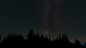 Timelapse of moving stars and milky way in night sky over trees. Epic video 4K