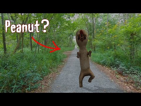 SCP 173 Sculpture In Real Life!? | Horror Short Film