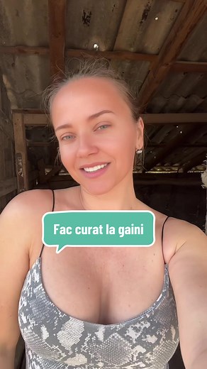 Soare si frumos in dinineata asta. 🥰#gaini #curatenie #viatalatara #mamici #viatasanatoasa #CapCut #colanti #olteancaludi