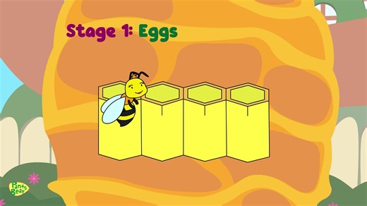 【英语科普 PantsBear】Life Cycle of a Bee Honey Bee for kids A Beerilliant Adventure
