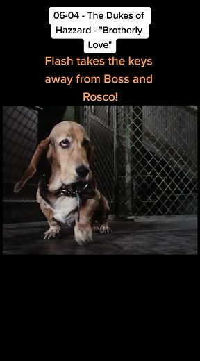 SheriffRoscoPColtrane (Fan) on TikTok