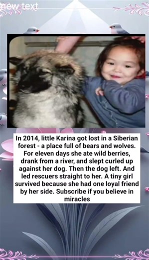 In 2014, little Karina got lost in a Siberian forest - a place full of bears and wolves. For eleven