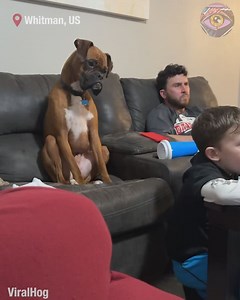 When you’re not sure what’s happening 😅 | Bright Side Fun