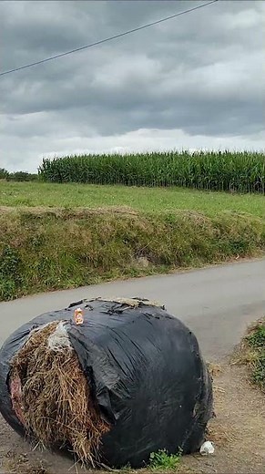 Is this the Quietest Beach in the World? 🤫 ASTURIAS, SPAIN 2026