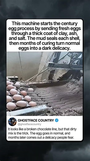 THE MUD THAT MAKES CENTURY EGGS