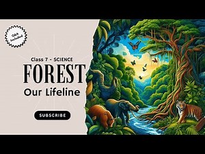 🌳 Class 7 Science: Forests Our Lifeline 🌍 | Importance, Structure & Food Chains Explained! 🌱