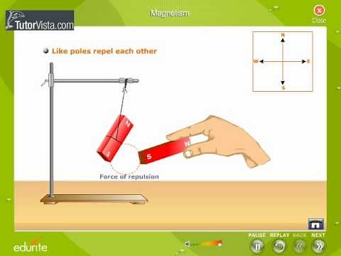 Law Of Magnetism