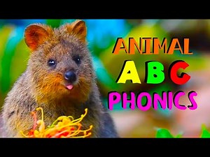 ANIMAL A to Z | Alphabet Phonic Song | Animals ABC