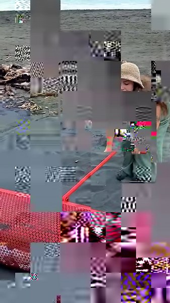 219K views · 489 reactions | Green innovations! Transforming plastic into practical items! | 5-Minute Crafts | Facebook