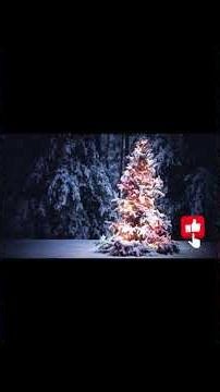 Snowy Christmas Tree • Slow Jazzy Holiday Music