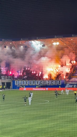 HALLESCHER FC 🔴 ⚪ #hfc #hfc_power #hallesaale #fyp #fußball