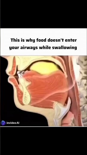 ✨Epiglottis explained in seconds 🌟#science #trachea #esophagus #cet #htet #anatomy #fypシ #fypシ゚viral