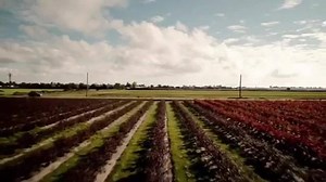 17K views · 624 reactions | Oh shiiiit  My episode of #TheTwilightZone this Thursday #April 11th CBS All Access #DamsonIdris @jordanpeele The Twilight Zone  | Sanaa Lathan | Facebook