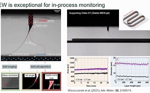 熔融静电纺丝3D打印介绍（Paul Dalton）