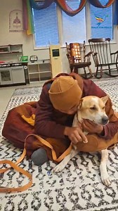 595K views · 70K reactions |  Our dear Aloka is never short on love!...