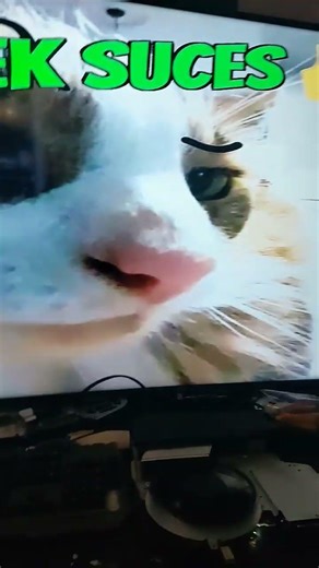 mint condition Ps4 test 2