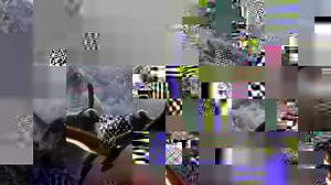 2.4M views · 687 shares | These love birds will be mates for life! | National Geographic Animals | Facebook