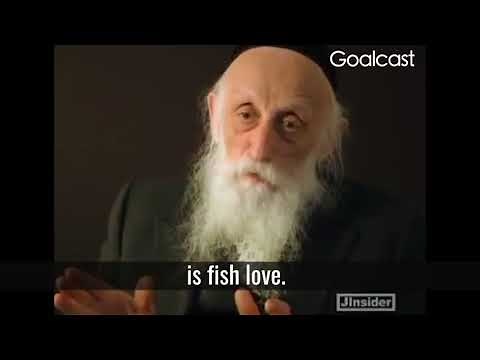 FISH LOVE from Rabbi Twersky