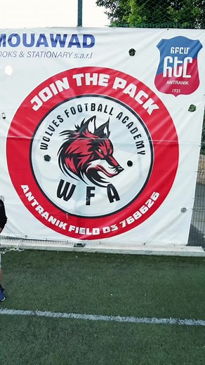 Unleash Your Potential with Wolves Football Teams