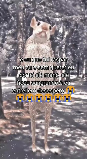 Squirrel Asking for Food in the Park