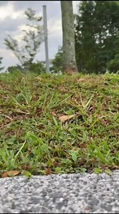 Looking for easy-to-share 5G connectivity? Here's the latest launch we love! With a long-lasting 5000mAh battery, you can share with as many devices as you want, up to 32 devices! With the DWR-U2000, the included cable is your lifesaver, swiftly boosting any type-C gadgets. #DLink #dllinkmy #TravelCompanion #StayConnectedOnTheGo #MobileWifi #5G #TechTravel #HolidayEssentials #StayChargedUp #CompactConvenience #MobileRouter #dlinkMobileRouters #DLinkMiFi #5GNR #PowerUpDevices #FamilyVacation #Spa