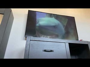 Finding Nemo ￼2003 Bruce tries to eat dory and marlin ￼