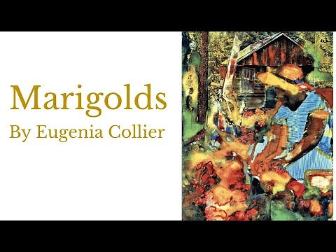 Marigolds by Eugenia Collier, audio and text