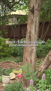 See how a routine lawn-and-shrub yard on rocky terrain gets turned into a fun destination that’s home to lots of butterflies, bees, and other wildlife, with the help of native and adapted plants 🌵🌺 Click to see the full garden🌿 : https://www.youtube.com/watch?v=6B_bp-pnesU&list=PLzZq6PfhaX700IaEapdWk1nricQHp5FFY&index=10 | Central Texas Gardener