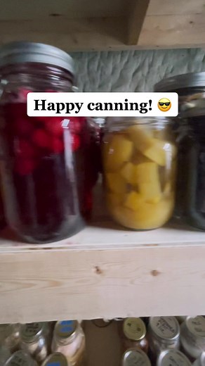 Water bath canning basics for beginners! I’ll answer any other questions in the comments! #canning #canningforbeginners #waterbathcanning #canningandpreserving #canningtutorial #homestead #cantry